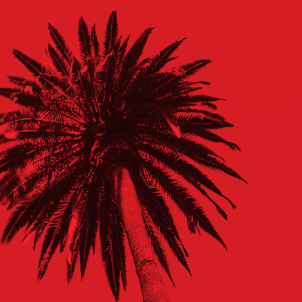 KLOVER - COVER - RED PALMS
