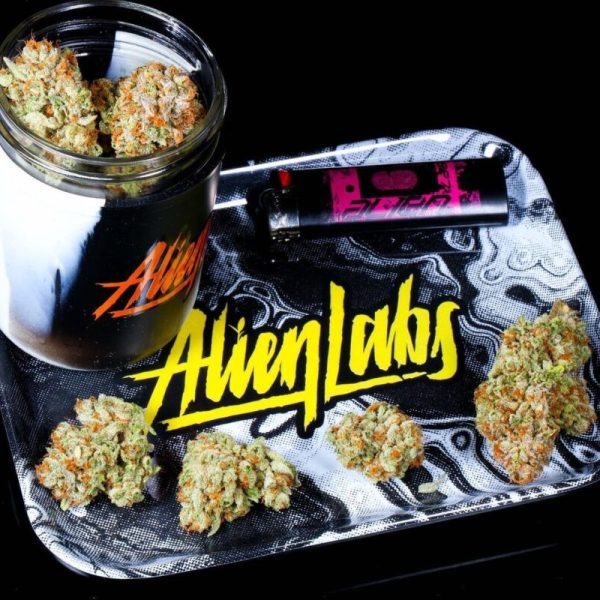 alienlabs-buds-916x800
